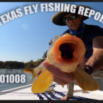 Texas Fly Fishing Report 201008 – October Surprise!