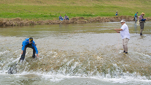 Trip Nipped in the Bud - Flyfishing Texas : Flyfishing Texas