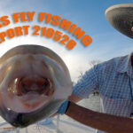 TEXAS FLY FISHING REPORT