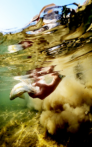 GoPro Split Shot underwater photography