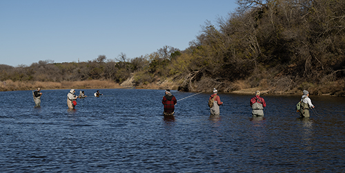 Brazos River Stocker Posse