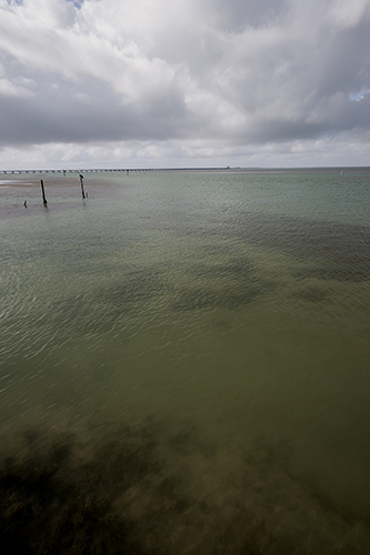 Winter Laguna Madre