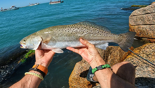 Boca Chica fly fishing speckled trout july 2023