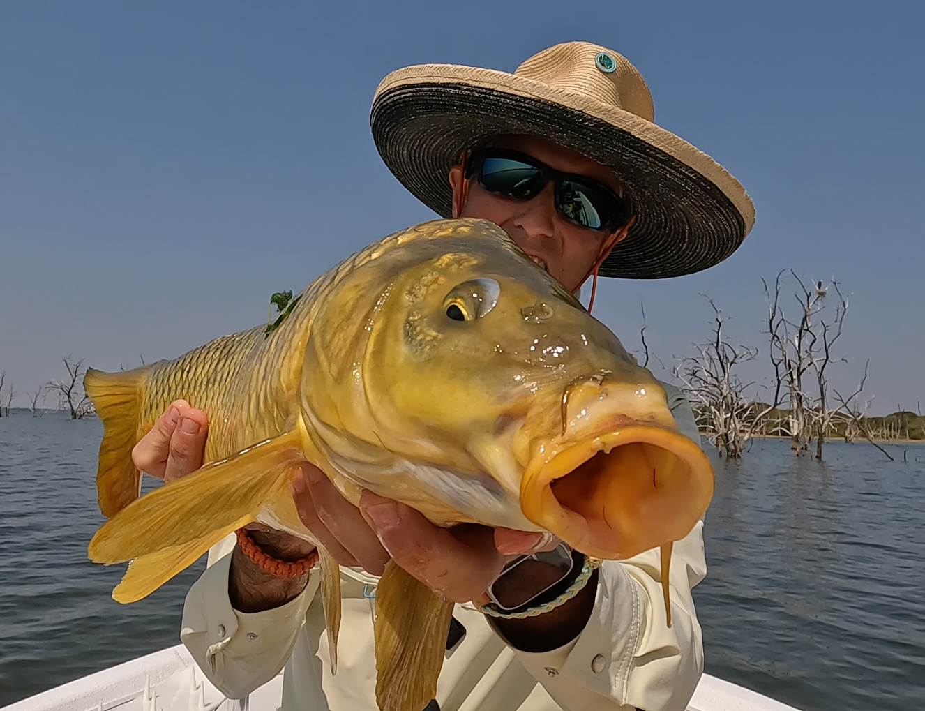 texas lake carp on fly