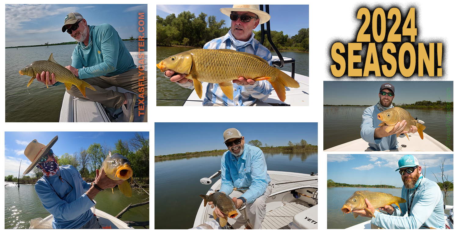 carp on fly in DFW Texas