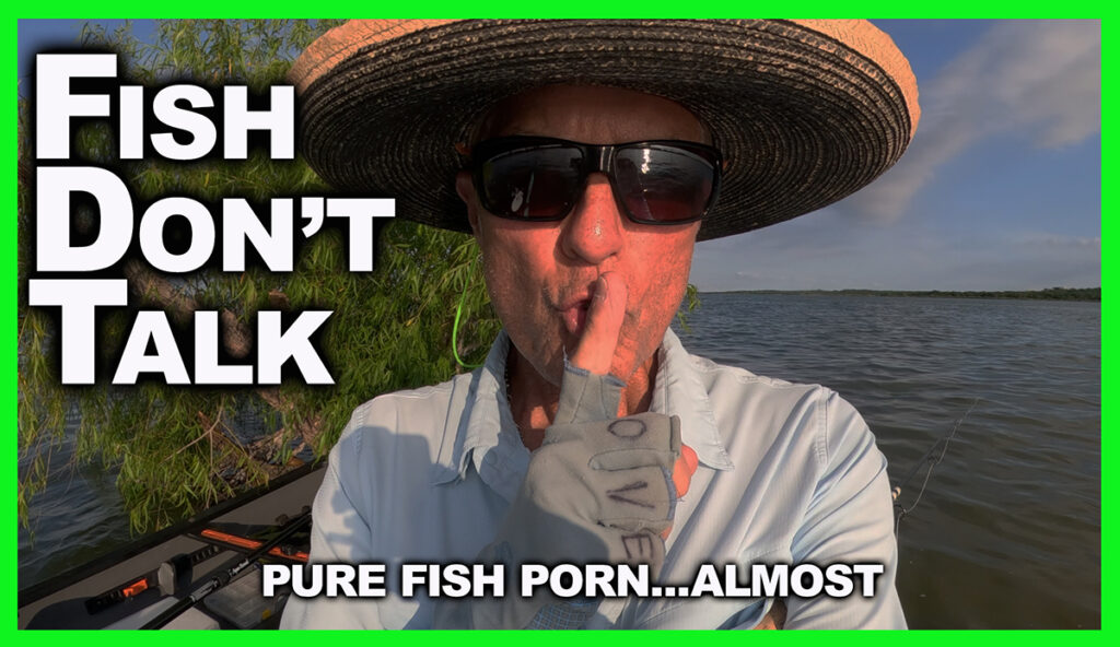 Fish Only Silent Video