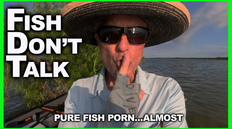 Fish Only Silent Video