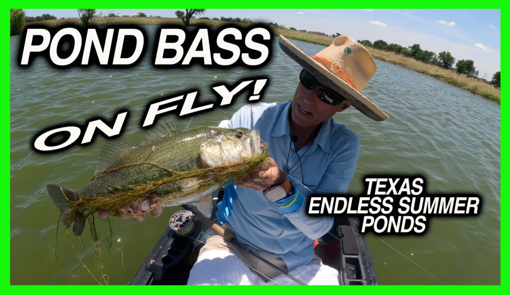 pond bass texas summer