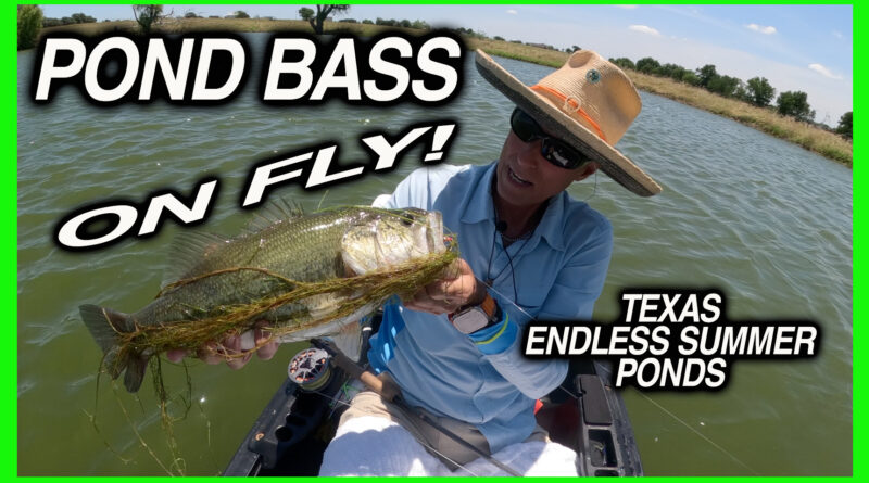 pond bass texas summer