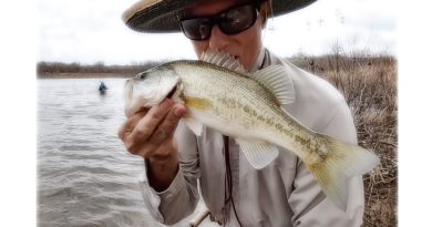 fly fishing for bass dfw bass on fly